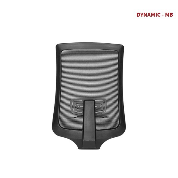 DYNAMIC MB